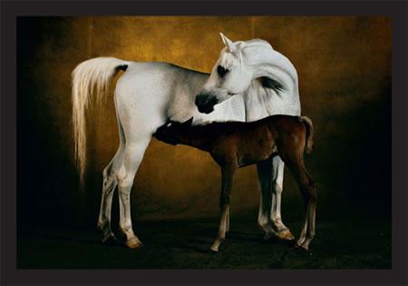 Maman du lait !!!